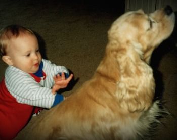 Jimmy as a toddler learning to walk with the family dog, Sherlock.