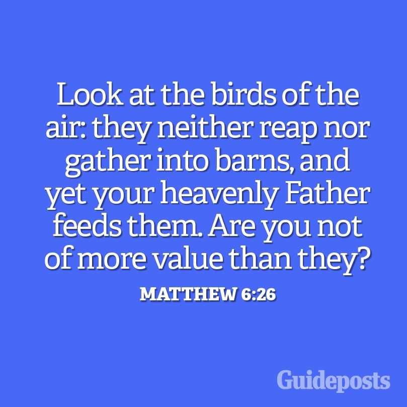 A graphic representation of Matthew 6:26