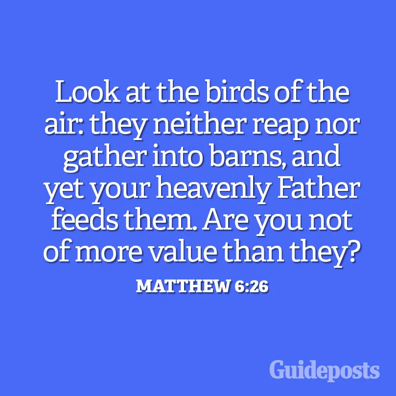 A graphic representation of Matthew 6:26