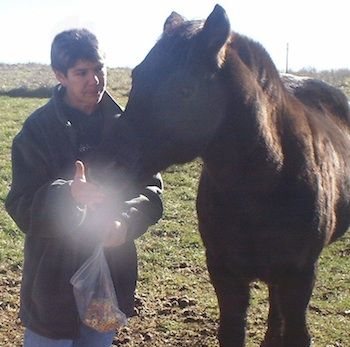 Dana Apple and her horse, BeauSoleil