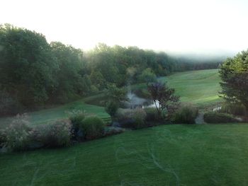 Photo of meadow and woods by Michelle Cox