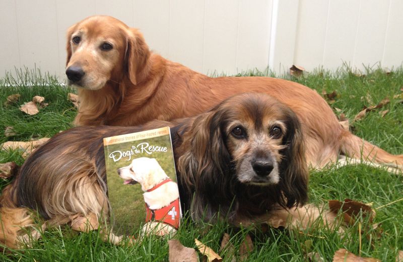 Peggy Frezon's pups pose with 'Dogs to the Rescue' Book by M.R. Wells