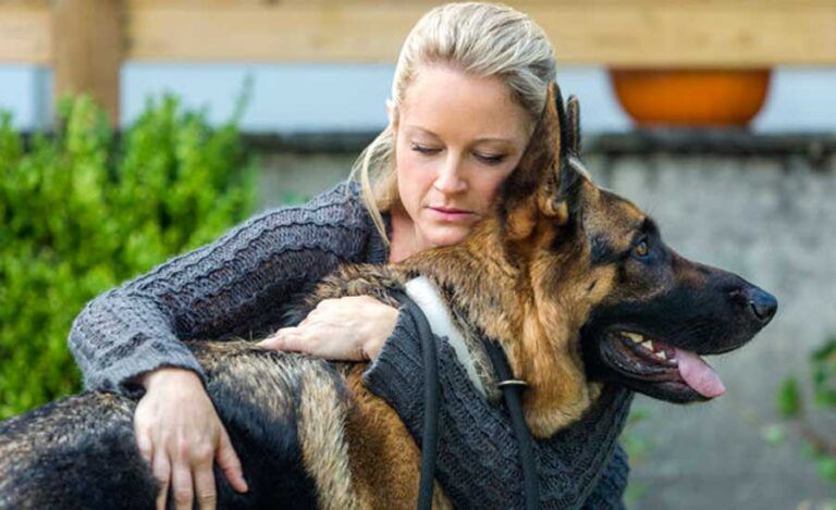 Teri Polo in her new movie A Christmas Shepherd