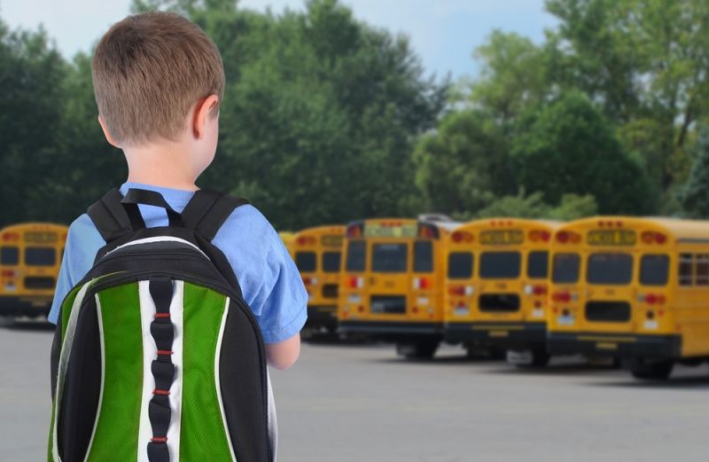 little boy in front of school buses