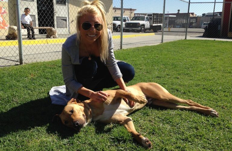 Michelle's daughter, Abby, visiting a dog shelter.