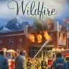 Wildfire - Mysteries of Silver Peak Series - Book 4 - ePUB