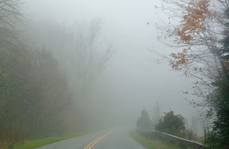 Driving through a fog of fear. Photo by Edie Melson.
