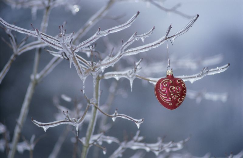 Bright ornament on an icy tree limb. Photo Purestock (Thinkstock).
