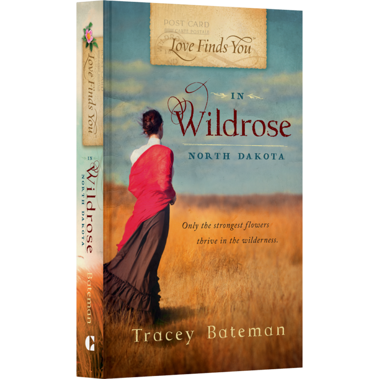 Love Finds You in Wildrose, North Dakota - Book 7-15260