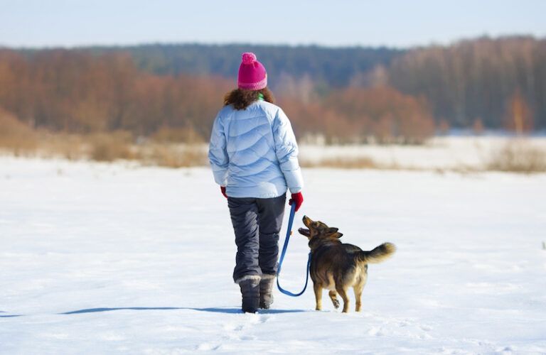 A winter walk. Photo by vvvita, Thinkstock.