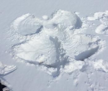 A snow angel. Photo by Louisiana Scherman.