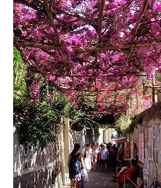 A trellis covered with colorful flowers