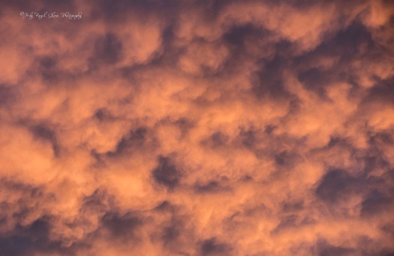 Clouds lit by the sun. Photo by Judy Royal Glenn.