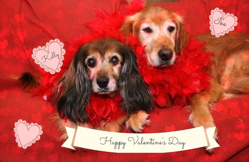 Kelly and Ike send Peggy a valentine!