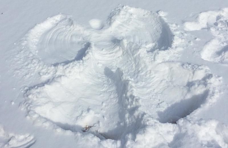 Snow angel. Photo by Louisiana Scherman.