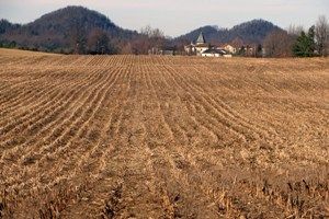 The Abbey of Gethsemani