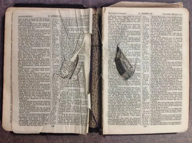 John Victor Salisbury's Bible from the Gallipoli Battlefield