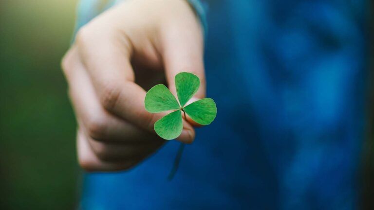 Person holding a four leaf clover for Saint Patrick facts