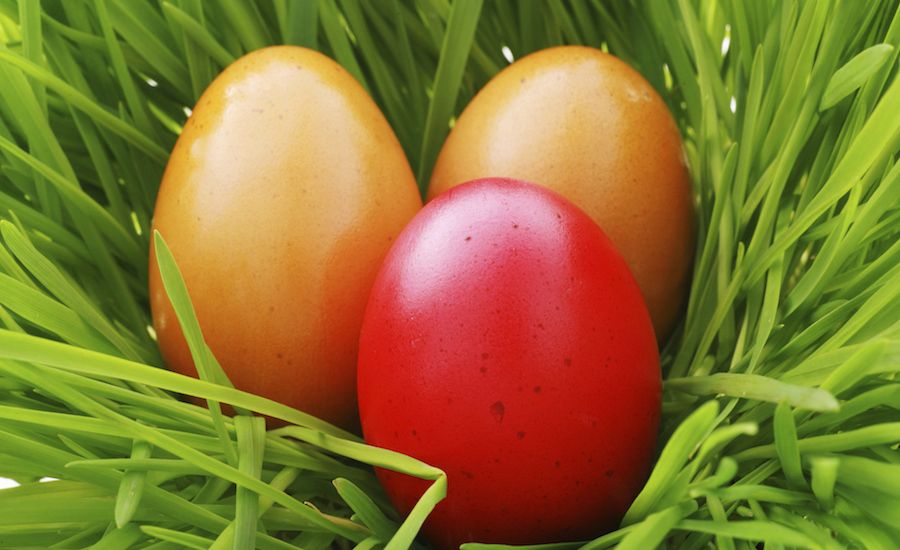 Easter eggs in the grass. Thinkstock.