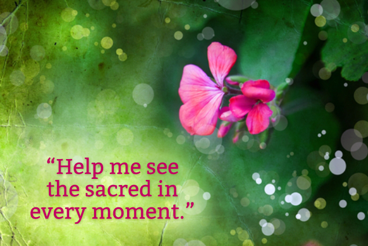 Help me see the sacred in every moment