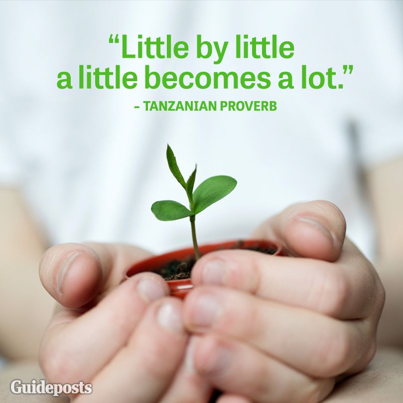 "Little by little, a little becomes a lot."