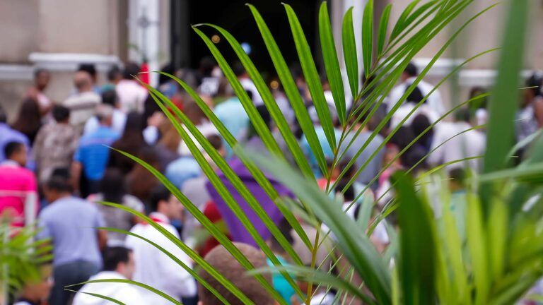 A group of people doing a palm sunday parade with green palm fronds