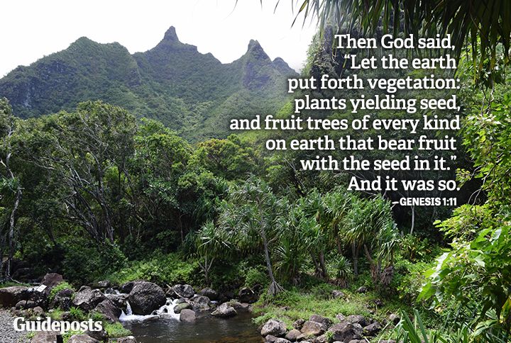 Limihuli Garden and Preserve displaying an Earth Day bible verse