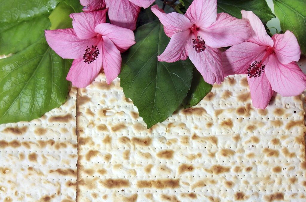 Manna and pink flowers for passover