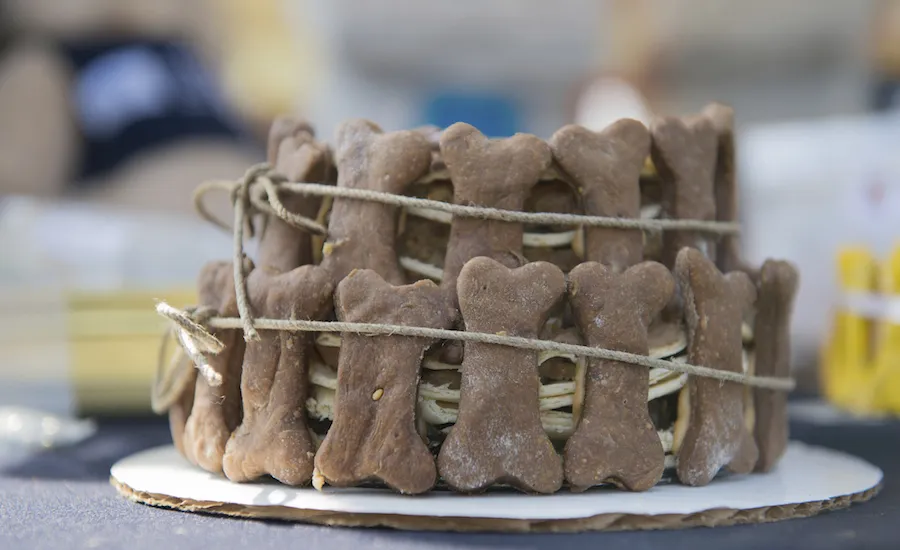 Dog bone birthday cake. Thinkstock.