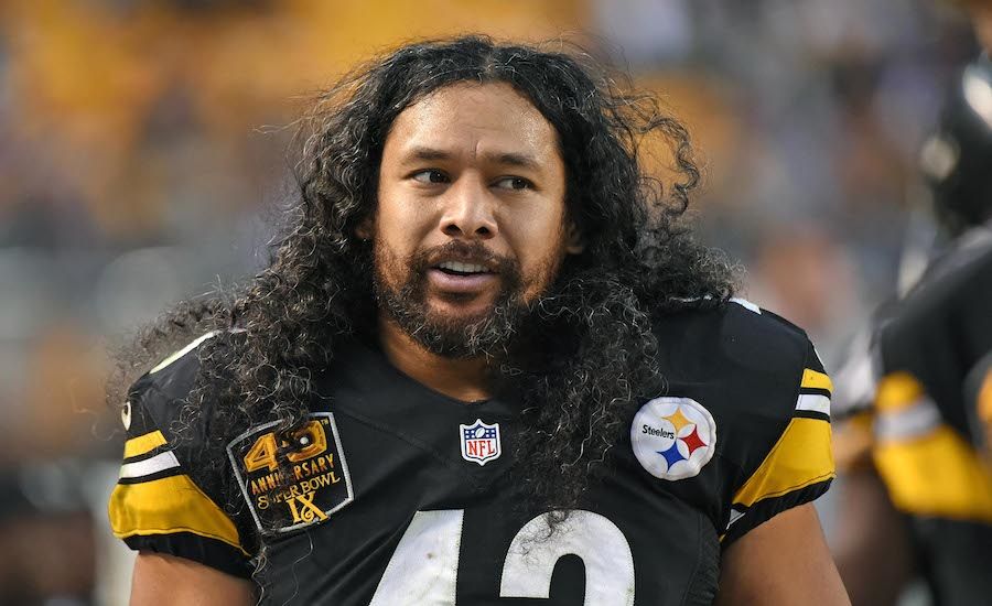 Pittsburgh Steelers safety Troy Polamalu. Photo: Getty Images.