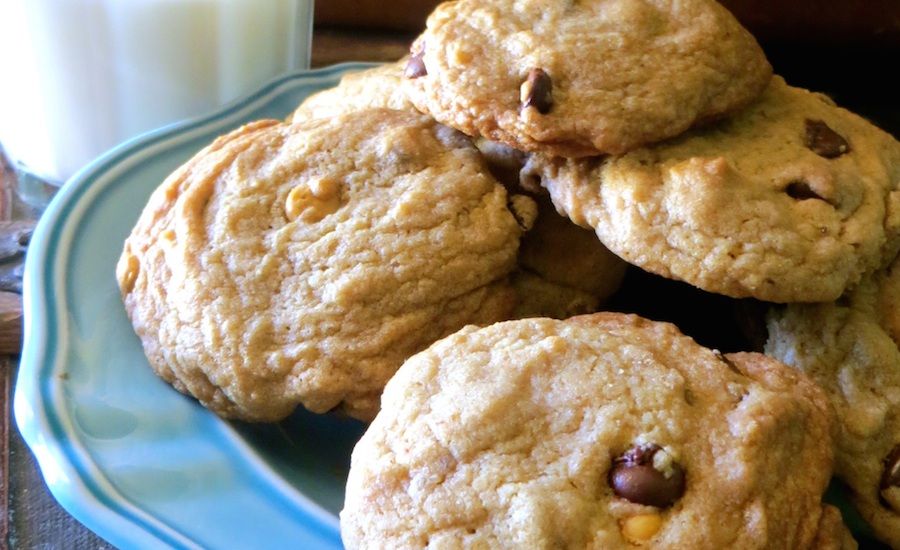 Marci Seither's chocolate chip cookies.