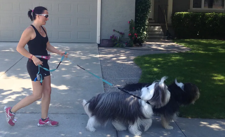 Annette Vivian walking with Snoopy and Rocco. Photo courtesy Annette Vivian.