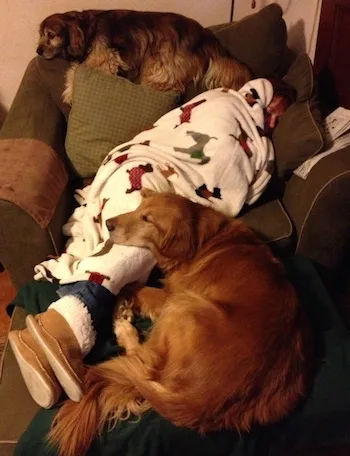 Peggy being nursed by Kelly and Ike.