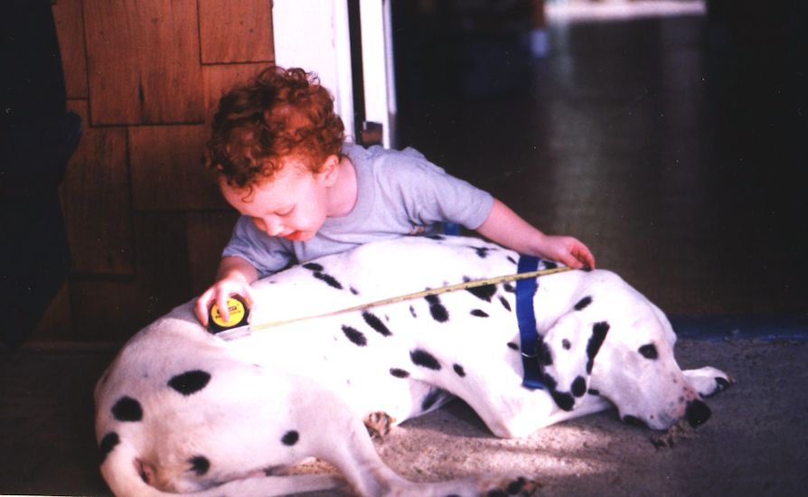 Peggy's son measuring the family Dalmation.