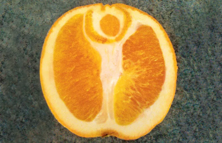 A halved orange reveals an angel