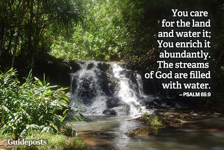 Waterfall at Limihuli Garden displaying an Earth Day bible verse