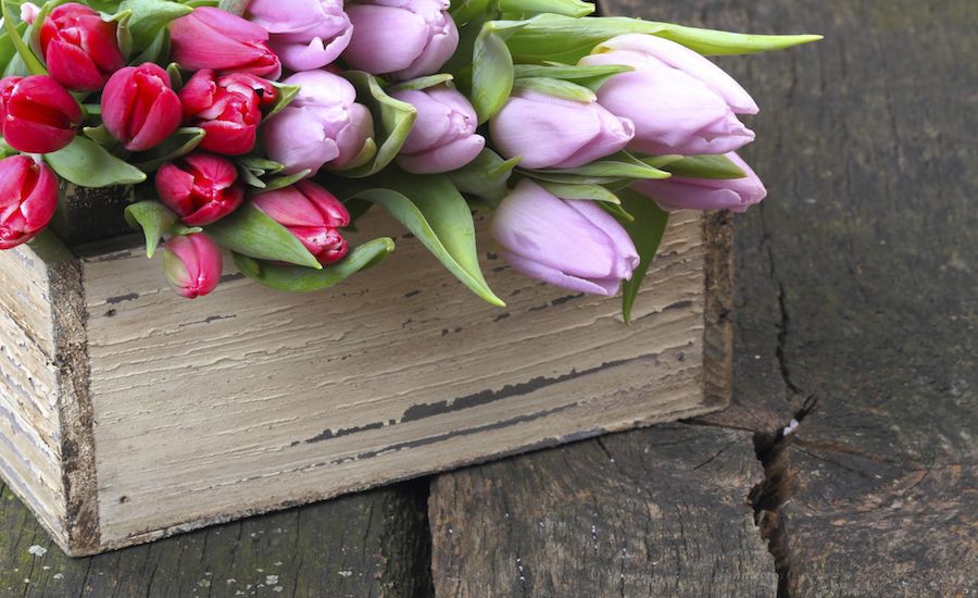 Mother's Day flowers (Thinkstock)
