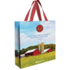 Blessings in Disguise - Sugarcreek Amish Mysteries - Series - Book 1-26284