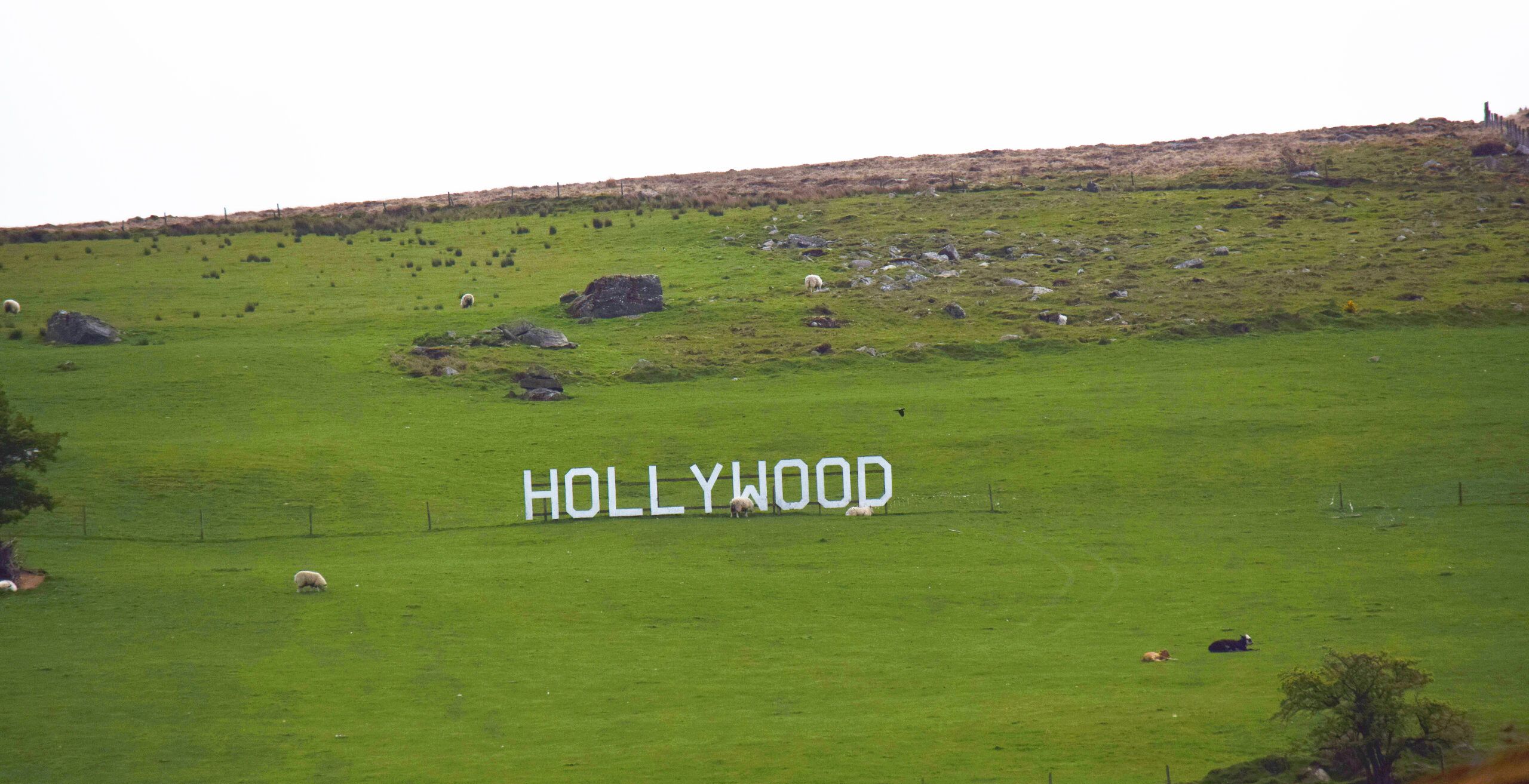 Hollywood sign in Ireland