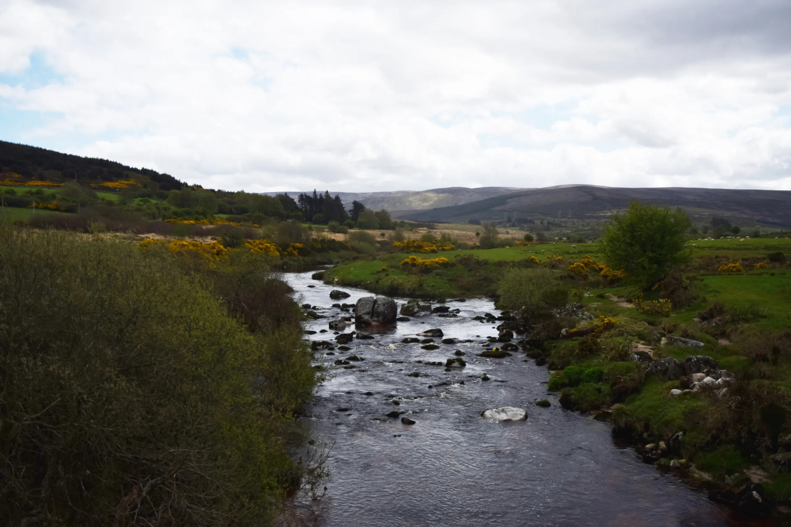 Ireland countryside on the road to Glendalough