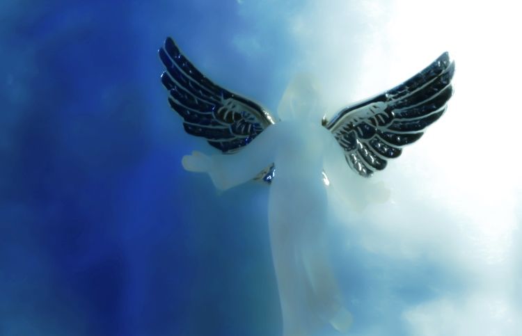 heavenly angel wings