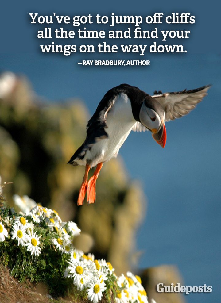 Motivation Graphic quote Ray Bradbury courage wings cliff