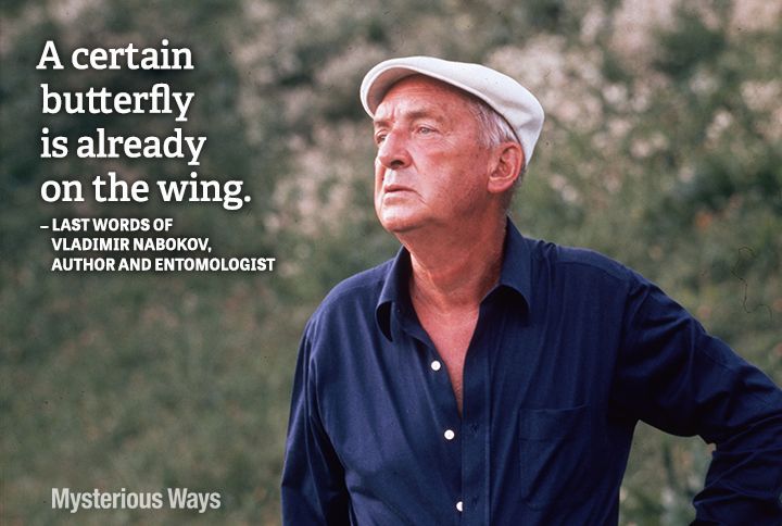 Guideposts: Vladimir Nabokov, author and entomologist--A certain butterfly is already on the wing