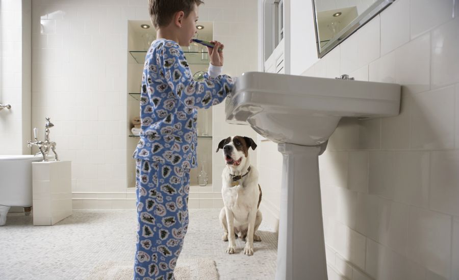 child brushing his teeth dog looks on