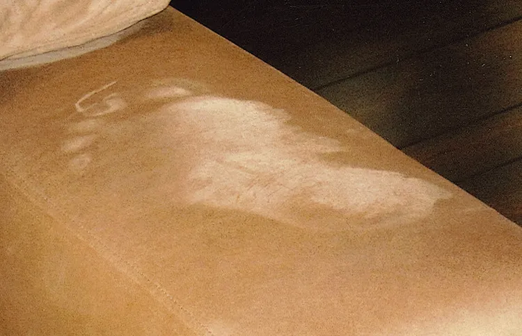 In July 2010, a footprint appeared on a suede club chair in Jim and Janis’s home. It doesn’t match either of theirs.