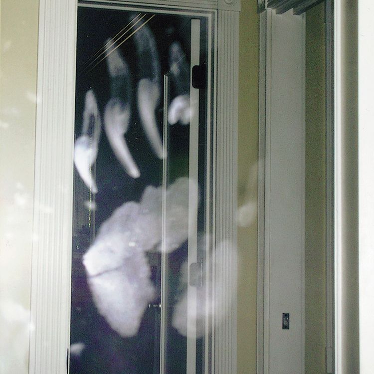 Another handprint appeared on Janis’s bathroom mirror the week of the third anniversary of Max’s death.