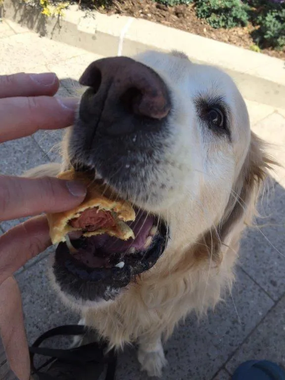 Millie convincing Edward to share his hot dog.