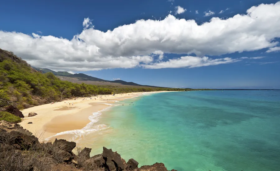 maui beach rescue