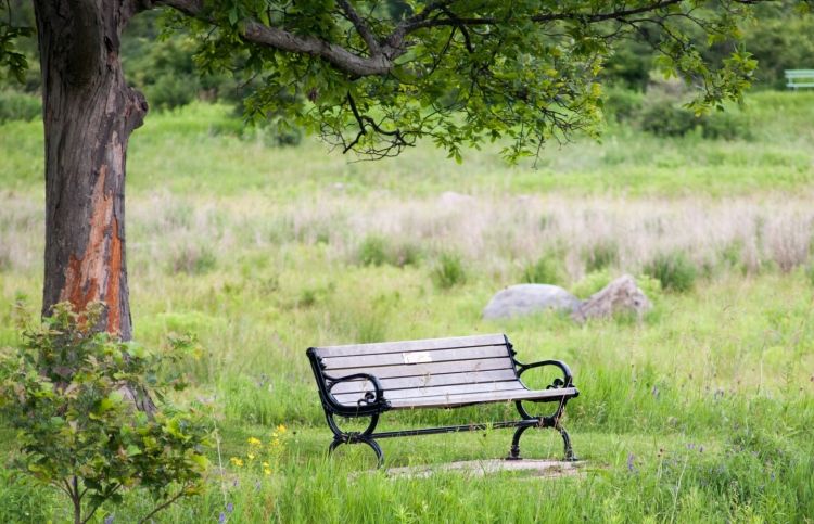 A memorial bench gives pause for a spiritual exercise