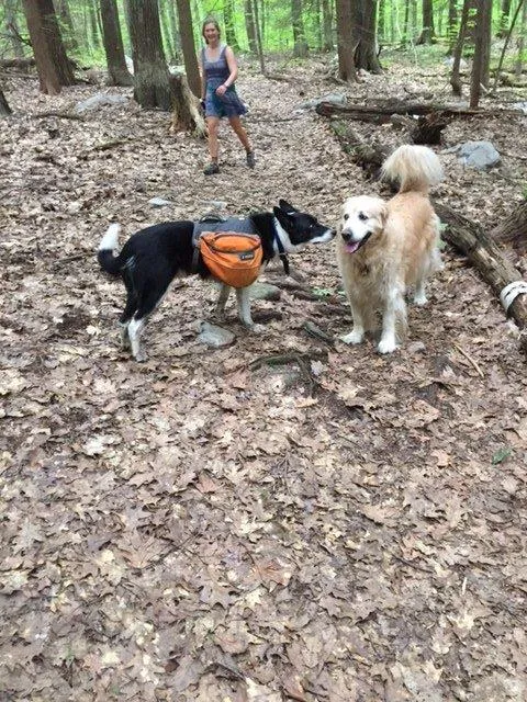 Making a friend along the way.